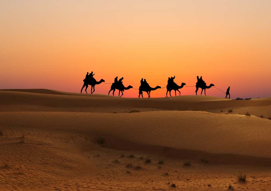 Doha: Sunset Safari, Dune Bashing, Sandboarding & Camel Ride - Who should book this safari?