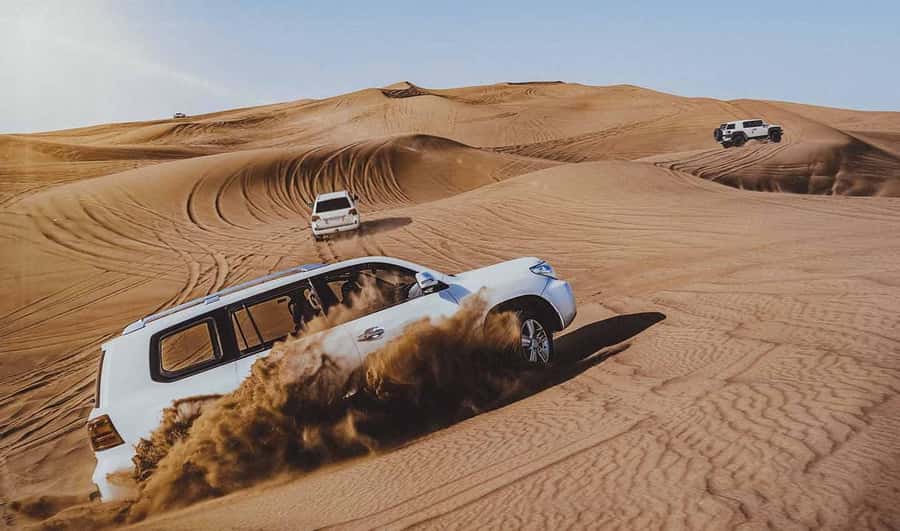 Doha: Thrilling 4x4 Desert Safari, Inland Sea-All Activities - The camel stop gives the trip a cultural pause