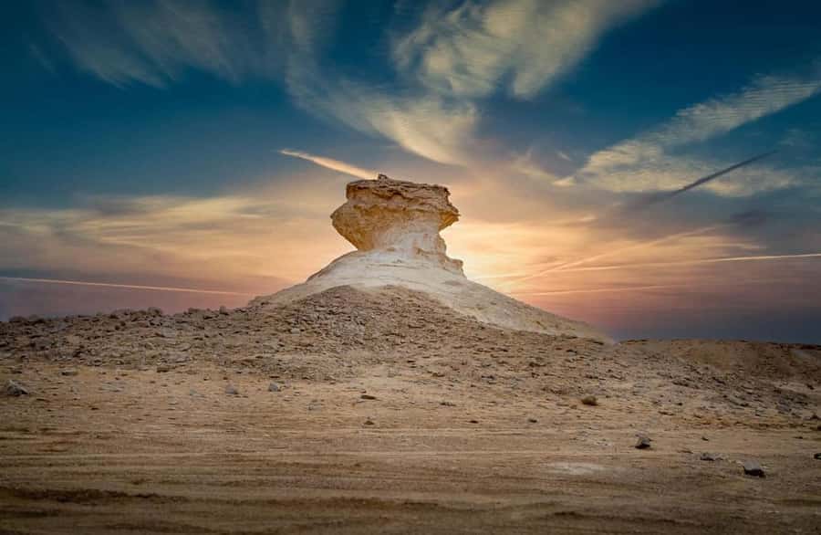 Doha: West Coast Qatar Tour, Sculptures, Camel Racing track - The Al-Shahaniya camel track comes first