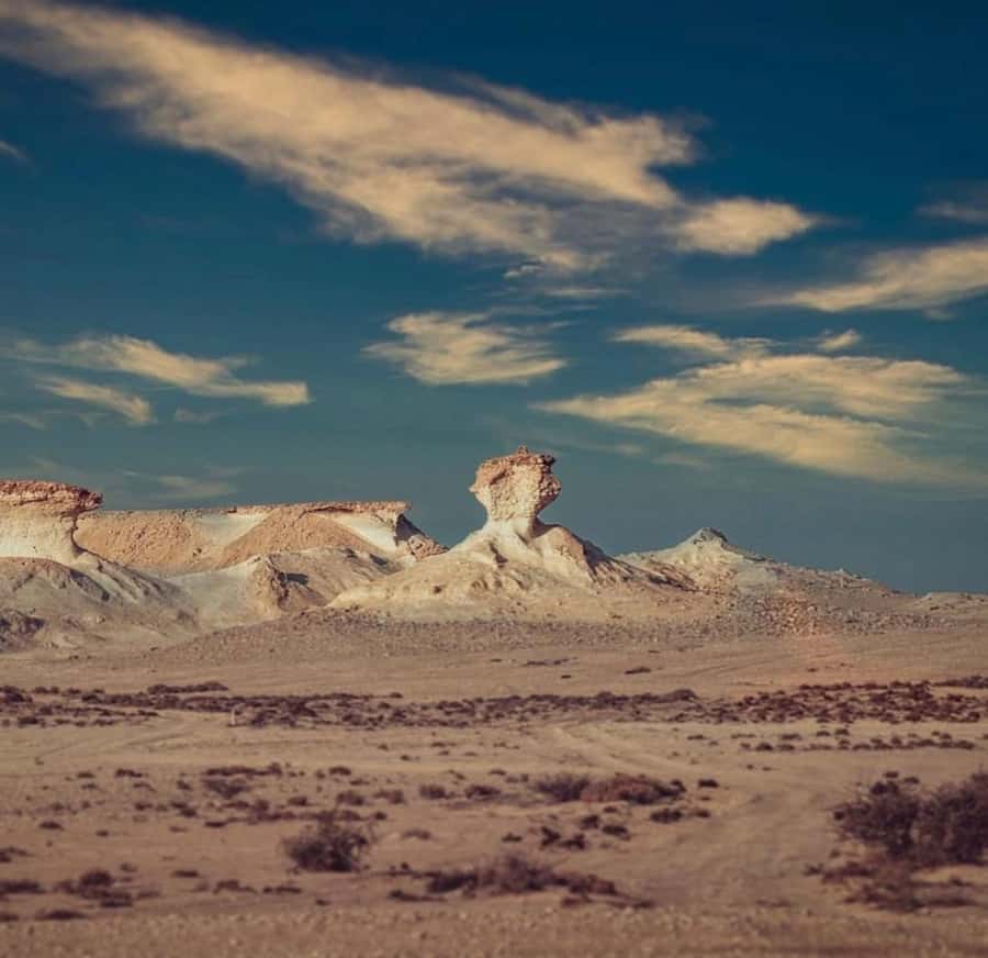 Doha: West Coast Qatar Tour, Sculptures, Camel Racing track - Mushroom Rock and Umbrella Rock make the desert feel unreal