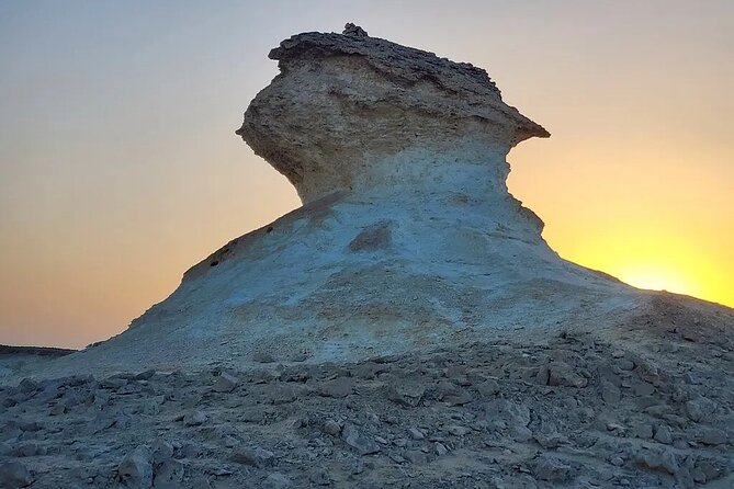 Doha : West Coast Tour on Zekreet Peninsula - Al Shahaniya and the world of camel racing