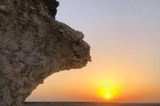 Doha: West Coast Tour , Richard Serra Sculpture, Zekreet - Al Shahaniya and the strange charm of robot jockeys
