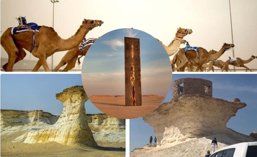 Doha : West Of Qatar Tour With Pickup & Drop-Off - Camel racing, training, and an important timing warning