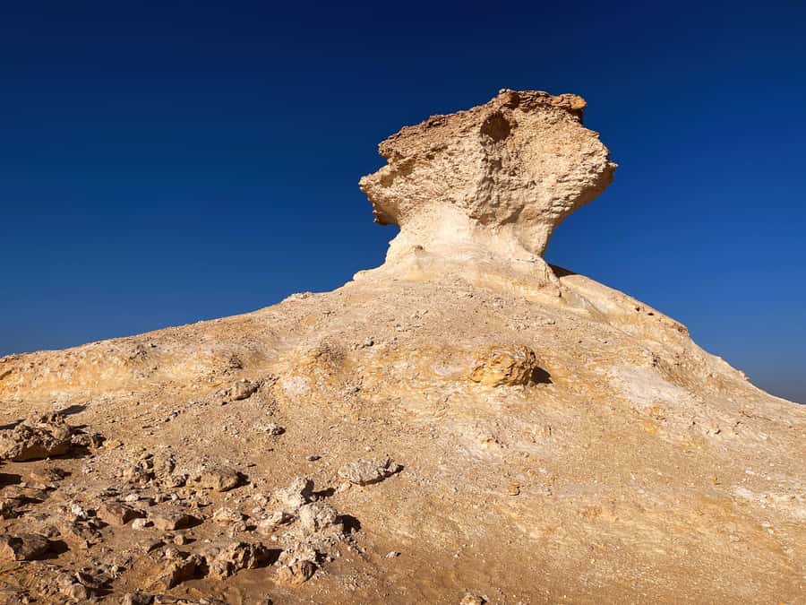 Doha: West Qatar Guided Journey With Pickup & Drop-Off - Key points to know before you book