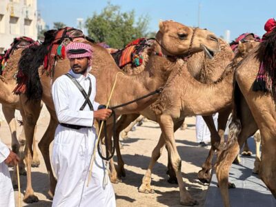 West Qatar Guided Journey With Pickup & Drop-Off