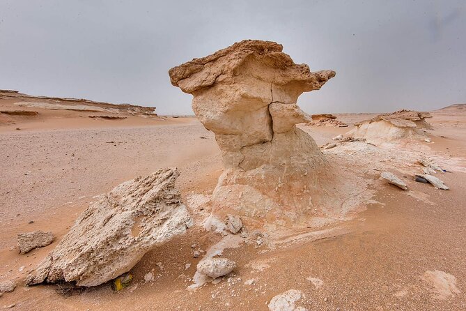 Doha West Qatar Richard Serra Sculpture, Mushroom Rock Tour - Who should book this west-coast tour?