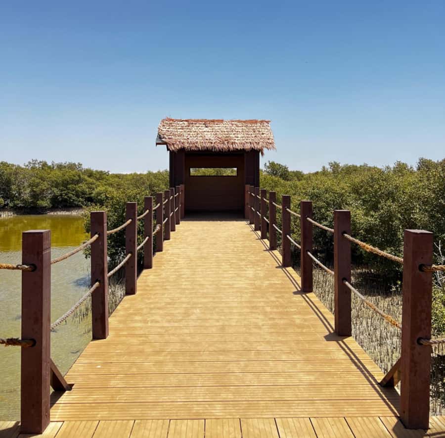 Doha: Zubara UNESCO Site, Mangroves & Jumail Village - Purple Island and Al Thakira Mangroves