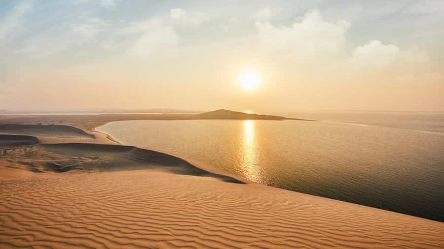 Dune Bashing &Beyond The Ultimate Desert Safari From Doha - Sealine Beach Resort and the meeting of sand and sea