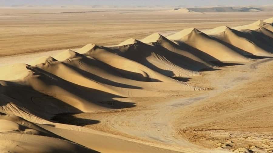 Dune Bashing, Sandboarding, Camel Ride & Optional ATV Ride - Key points to know before booking