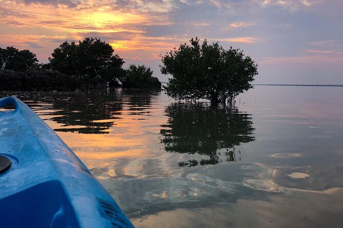Eco Kayaking Adventure – Mangrove Exploration at Purple Island - Kayaking Through Al Thakira’s Tidal Channels