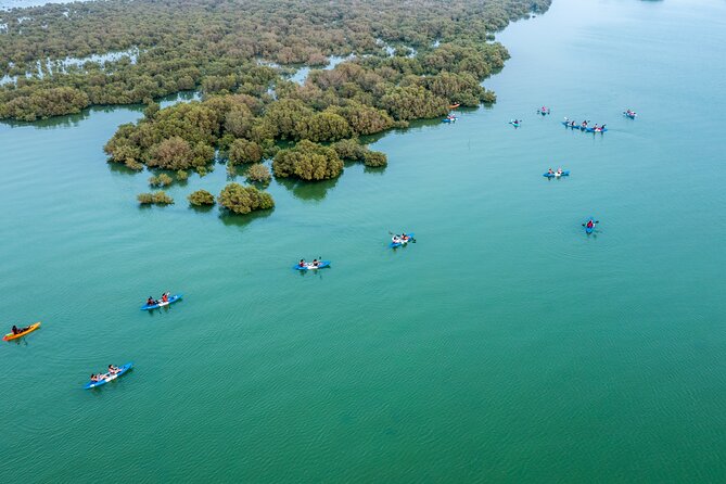 Eco Kayaking Adventure – Mangrove Exploration at Purple Island - Choosing the Best Departure Time