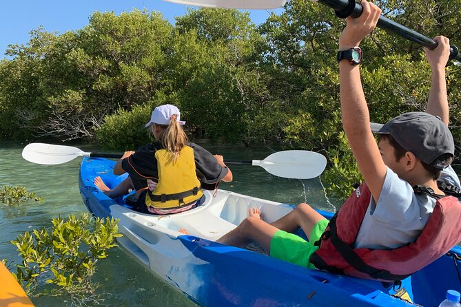 Eco Kayaking Adventure – Mangrove Exploration at Purple Island - Who Will Enjoy This Outing Most