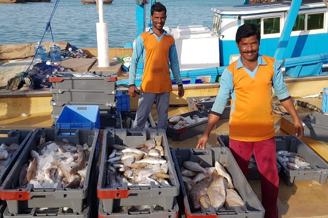 Explore North of Qatar: Visit Zubarah Fort and Fishing Town of Al Khor - Booking questions worth asking first