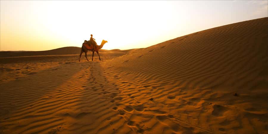 From Doha: 8-hour Safari Tour with Desert Beach Experience - Key points to know