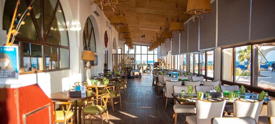 From Doha: 8-hour Safari Tour with Desert Beach Experience - What the $192 price really buys