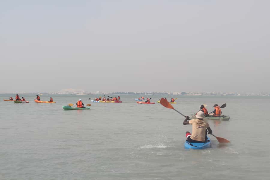 From Doha: Mangroves Kayaking Adventure - Key points to know before booking