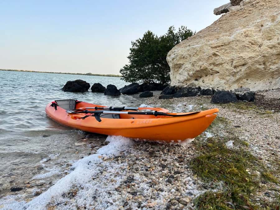 From Doha: Mangroves Kayaking Adventure - Why Al Thakira is worth your morning or afternoon