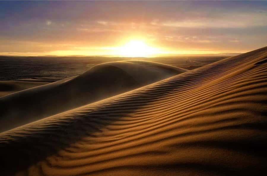 From Doha: Sunrise or Sunset Safari with Sand Boarding - Key points to know before booking