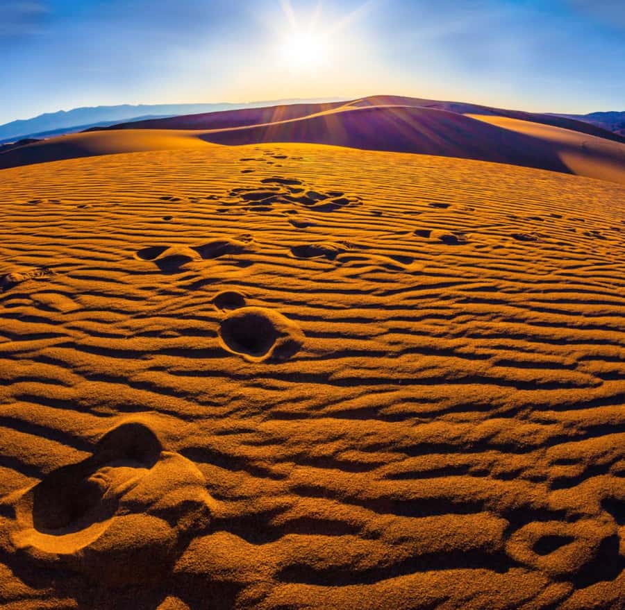 From Doha: Sunrise or Sunset Safari with Sand Boarding - The camel camp and first desert stop
