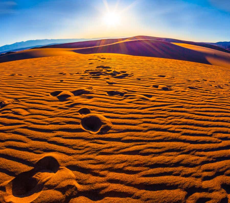 From Doha: Sunrise or Sunset Safari with Sand Boarding - Comfort, heat, and the four-hour pace