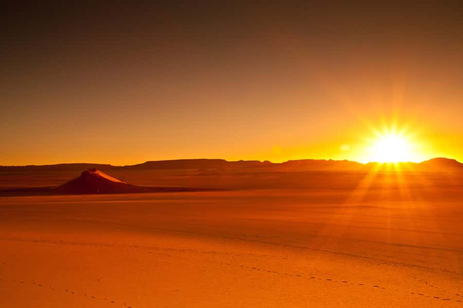 From Doha: Sunrise or Sunset Safari with Sand Boarding - Who will enjoy this desert safari most
