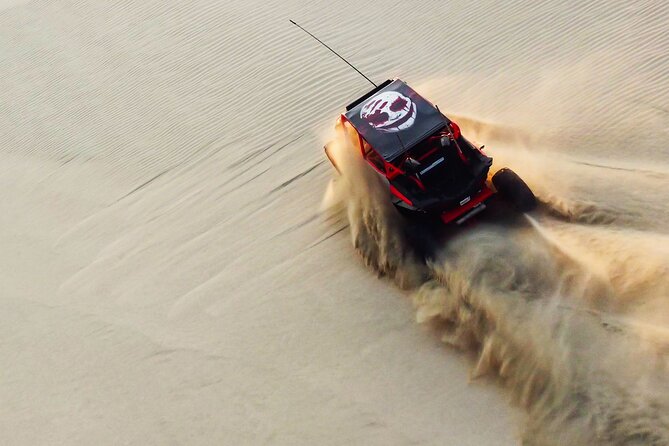 Full Day Desert Safari Doha/dinner included - Key points at a glance