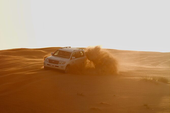 Full-Day Desert Safari with Buffet Dinner || Inland Sea Visit - Camels, falcons, and the Bedouin camp