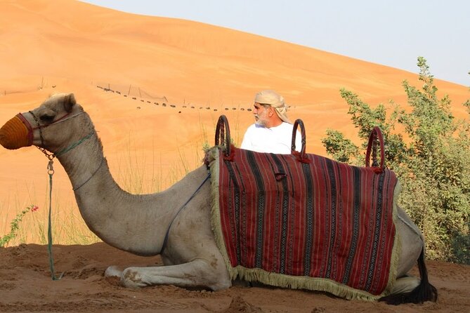 Full Day Desert Safari with Camp Access, Buffet Dinner,Camel Ride - How the guide can shape the day