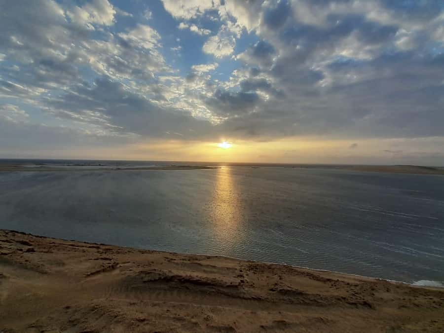 Full day desert safari with lunch or Dinner - Al Rahal Camp and Its Long Rest