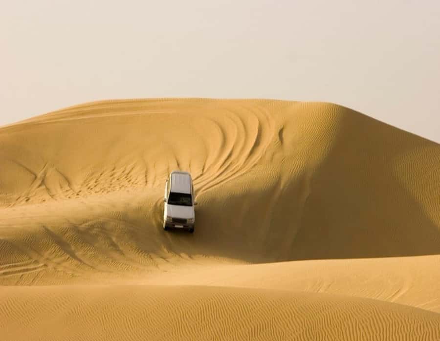 Full day desert safari with lunch or Dinner - Lunch or Dinner: Which Works Better?