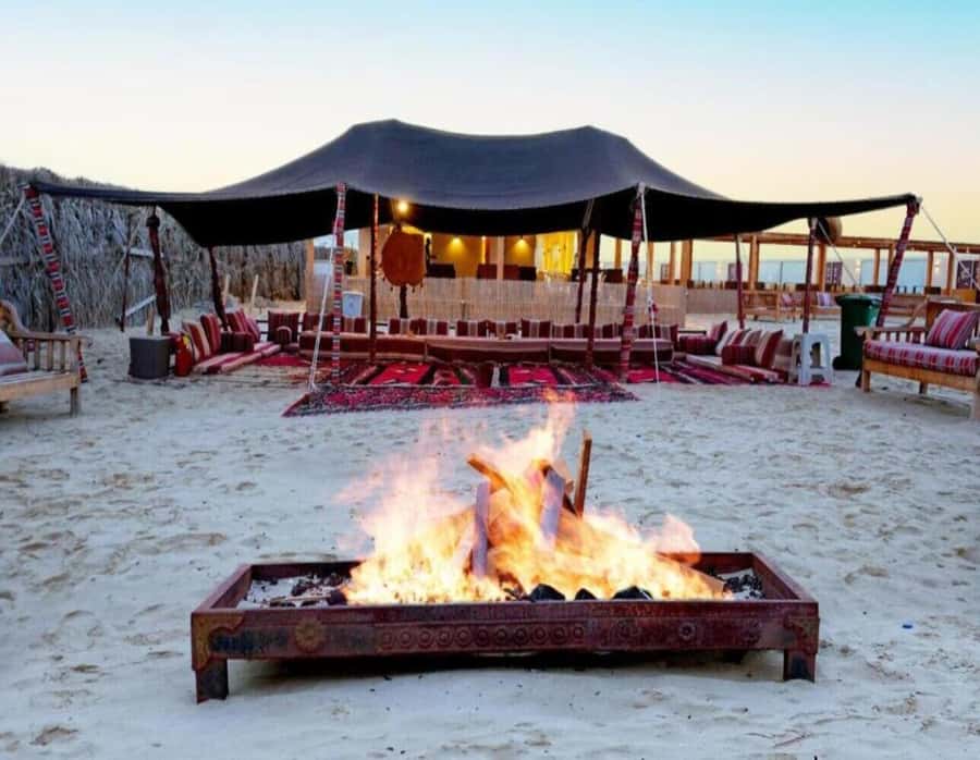 Full day desert safari with lunch or Dinner - What the $151 Price Really Covers