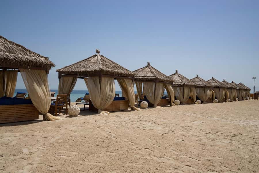 Full day desert safari with lunch or Dinner - Who Will Enjoy This Most?