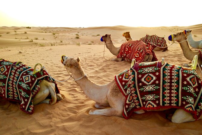 Full-Day DesertSafari with Camel Ride,InlandSea & BBQ Desert Camp - The shared BBQ camp