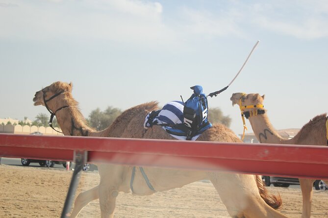 Full-Day Tour Qatar North And West - Ash-Shahaniyah and the camel racing track