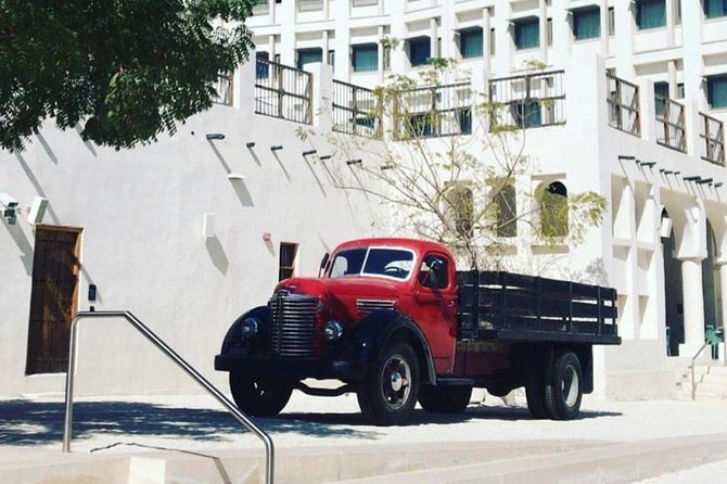 Half Day Desert Safari - Comfort, timing, and what to bring