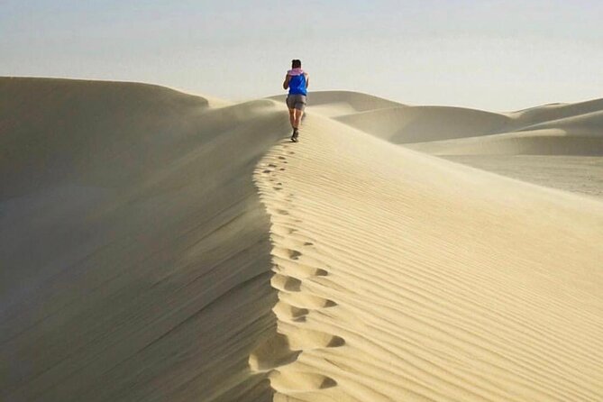 Half Day Desert Safari and Inland Sea - Why the private group matters