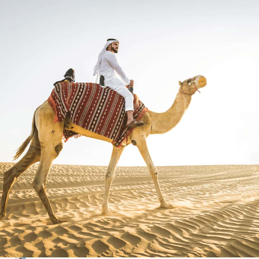 Half-Day Desert Safari For Cruise Ships Passngers. - Why this works well as a cruise-port excursion