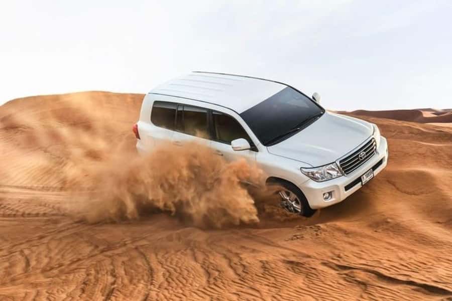 Half-Day Desert Safari For Cruise Ships Passngers. - From Mina Hotel to the open desert