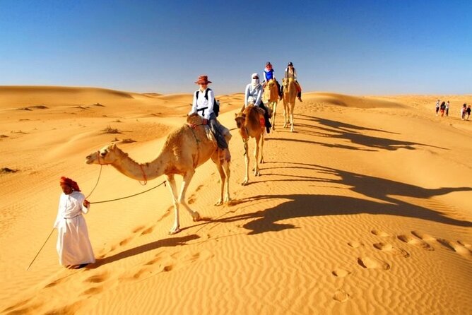 Half Day Desert Safari with Sand Boarding and Camel Ride - Sandboarding on the dunes