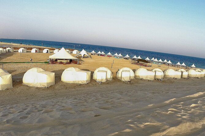 Half Day Desert Tour with Camel Ride - Key points before you book