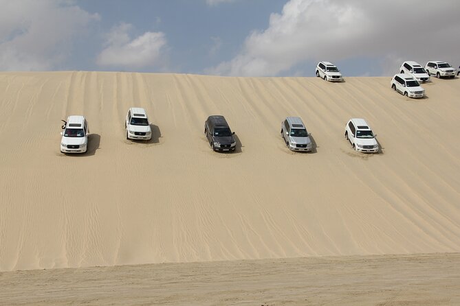 Half Day Desert Tour with Camel Ride - From Doha to Sealine Beach