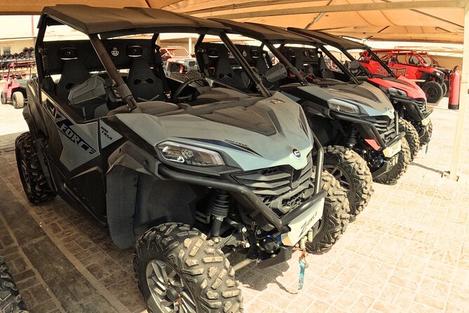 Half Day Night and Morning Desert Safari Camel and Sand Boarding - Khor Al Udaid gives the tour its quiet side