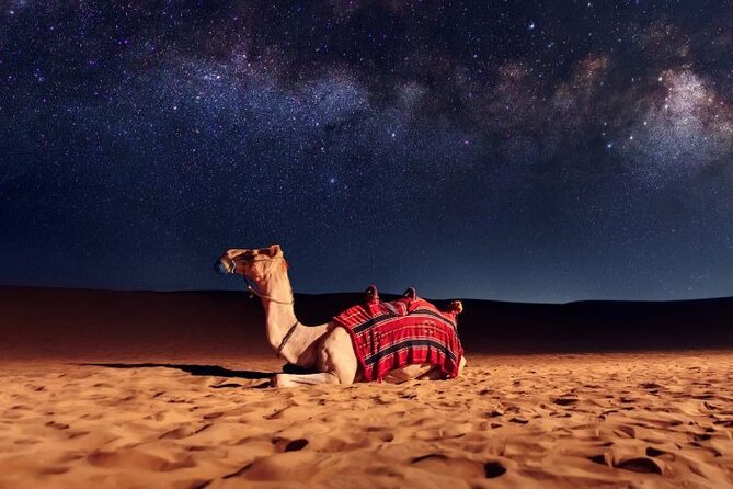 Half Day Night and Morning Desert Safari Camel and Sand Boarding - Sand boarding and 4x4 dune bashing bring the excitement