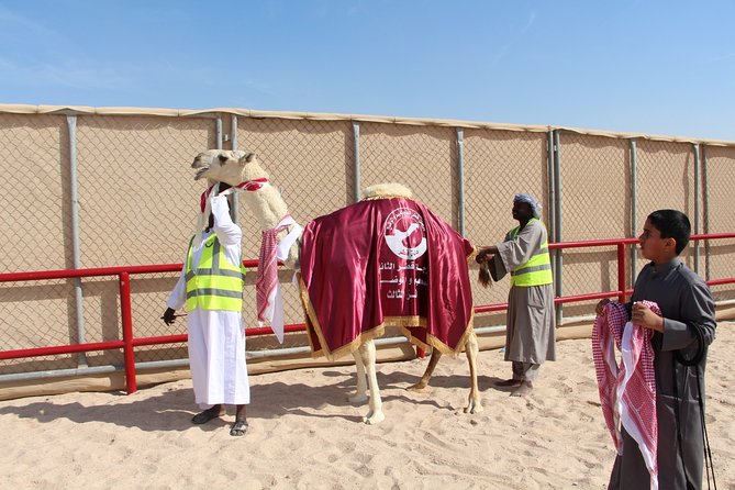 Half-Day Private Guided Camel Race Tour in Qatar - Going behind the scenes at the track