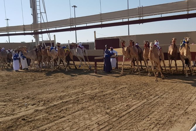 Half-Day Private Guided Camel Race Tour in Qatar - Choosing the 6am or 10am departure