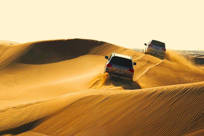 Half Day Safari Tour With Camel Ride and Sand Boarding in Doha - Key points to know before you book