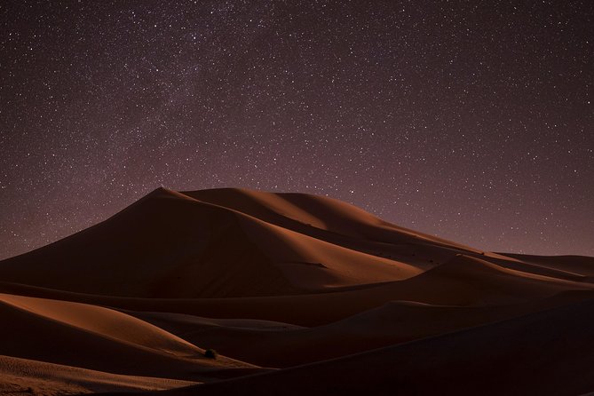 Night Desert Safari | Sand Boarding || Camel Ride || Inland Sea - What this Doha desert safari is really about