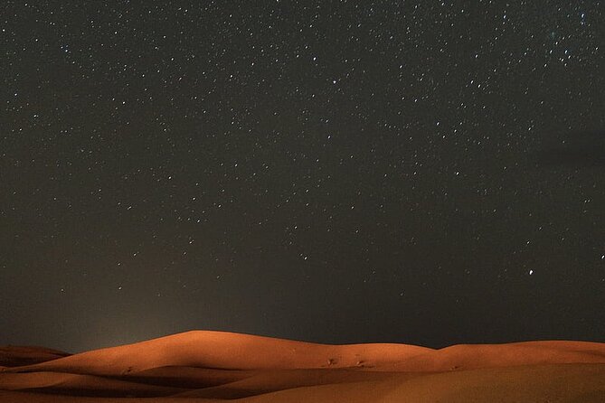 Night Desert Safari, Stargazing, Dune Driving & Inland Sea Visit - Camels and the Bedouin-style stop