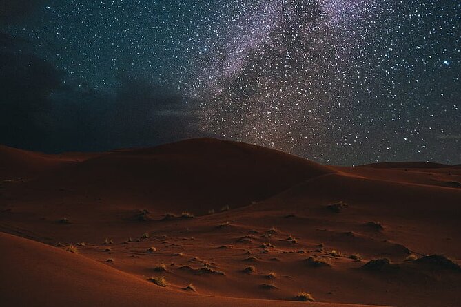 Night Desert Safari, Stargazing, Dune Driving & Inland Sea Visit - Who will enjoy this night safari most
