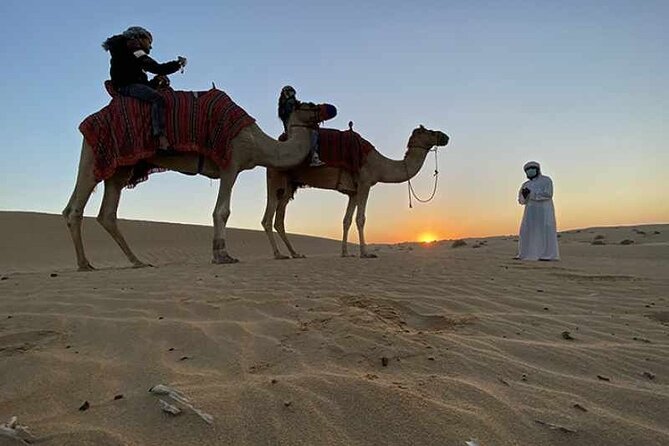 No Rush Desert Safari: 6-Hour Adventure & Inland Sea Relaxation - The return to Doha